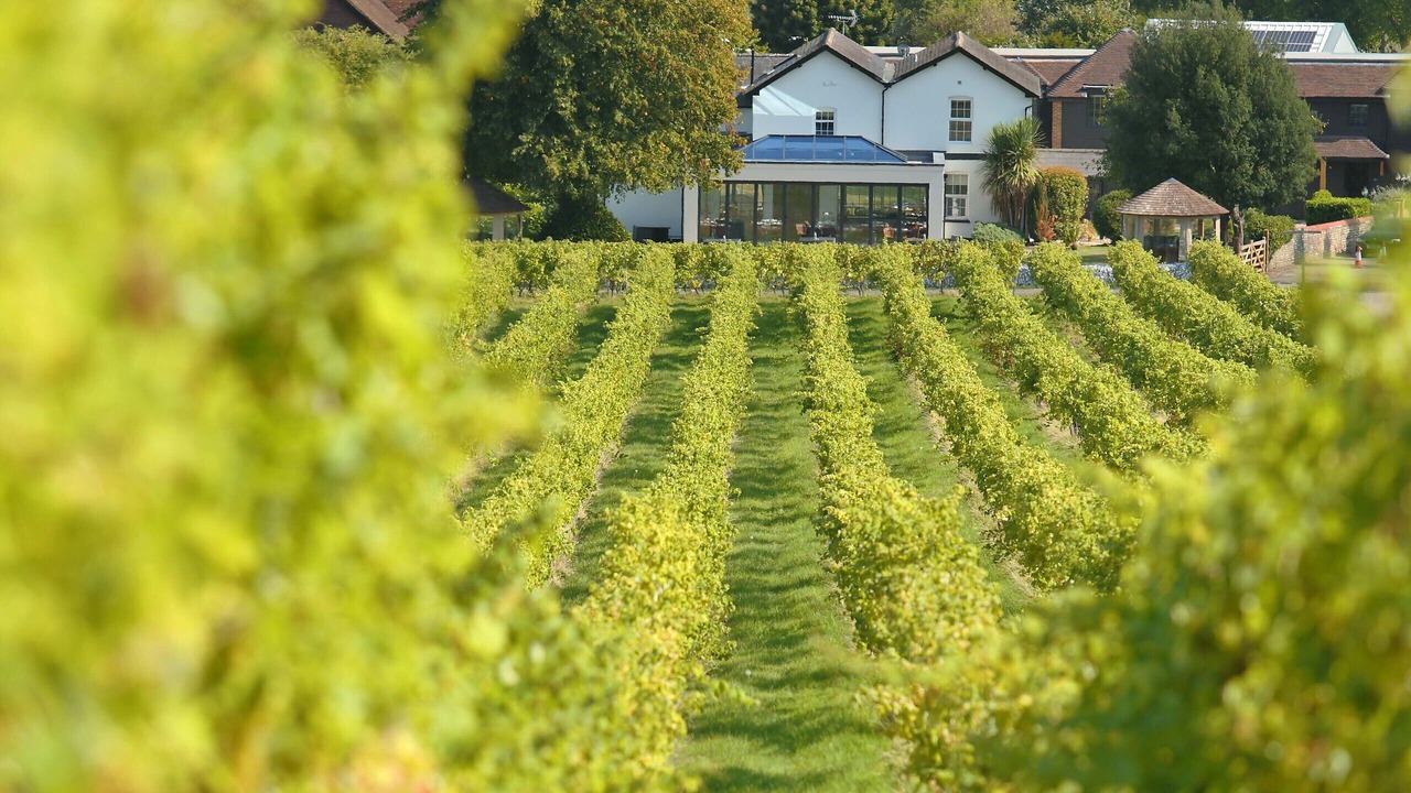 Photo of Outdoor in Box Hill