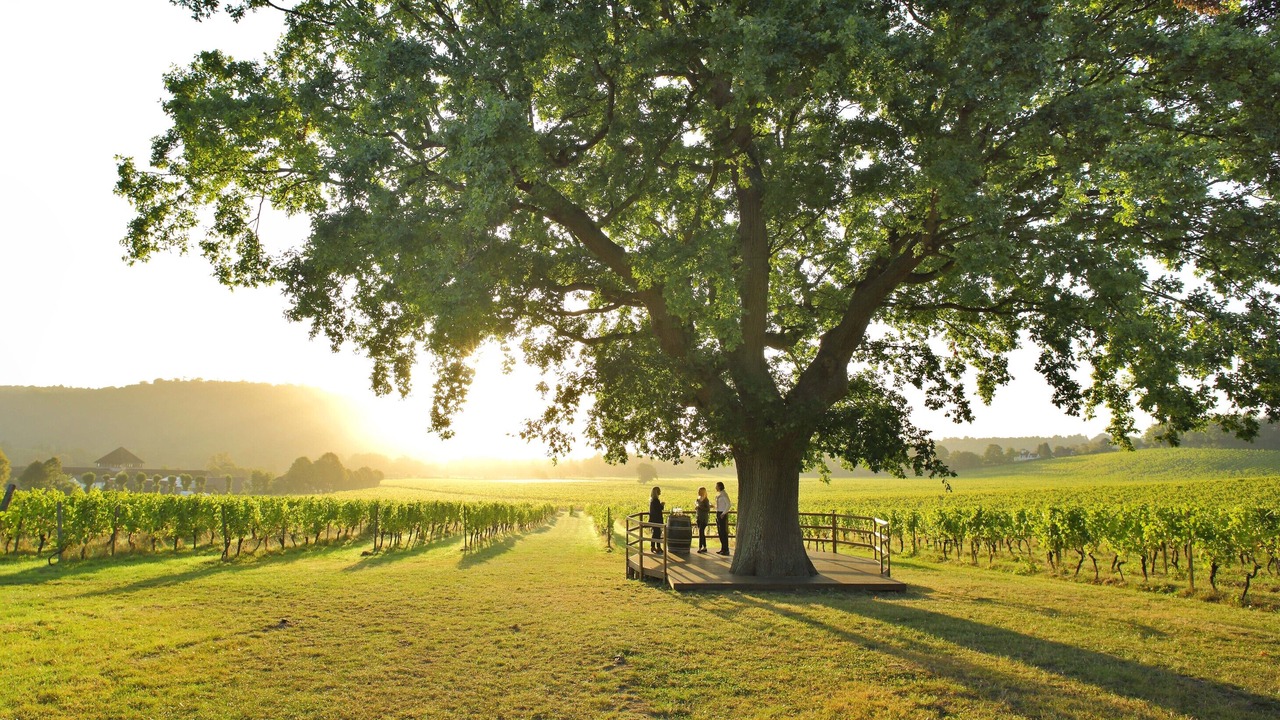 Photo of Others in Box Hill