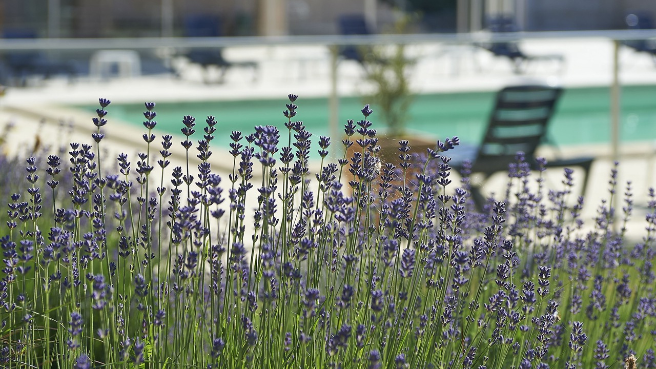 Photo of Outdoor in Limoges