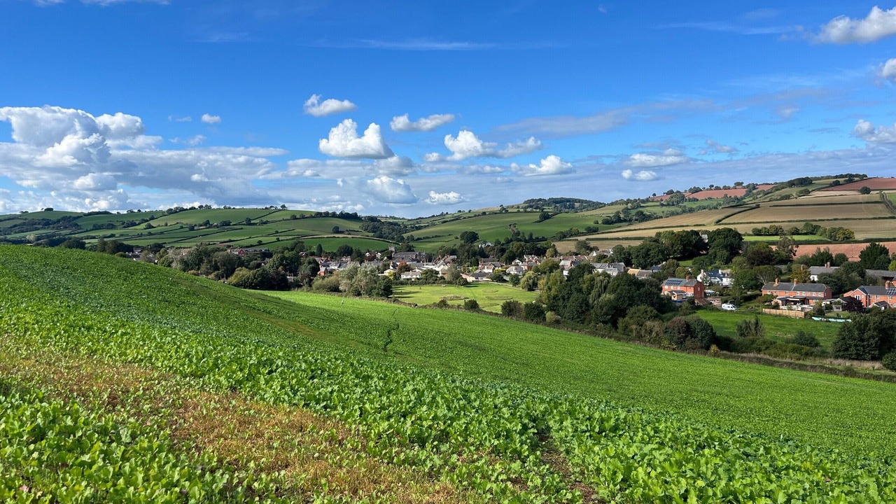 Photo of Others in Thorverton