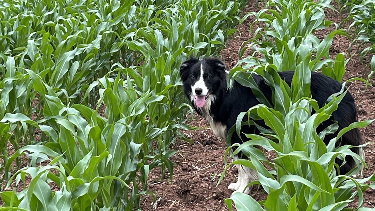 Photo of Outdoor in Kenn