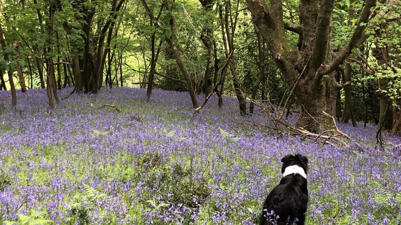 Photo of Outdoor in Kenn