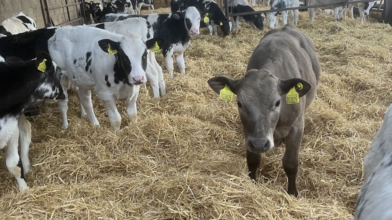 Photo of Outdoor in Kenn