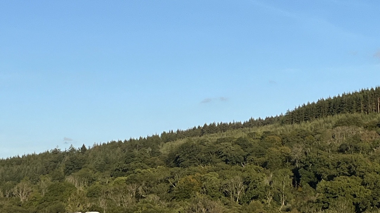 Photo of Outdoor in Kenn