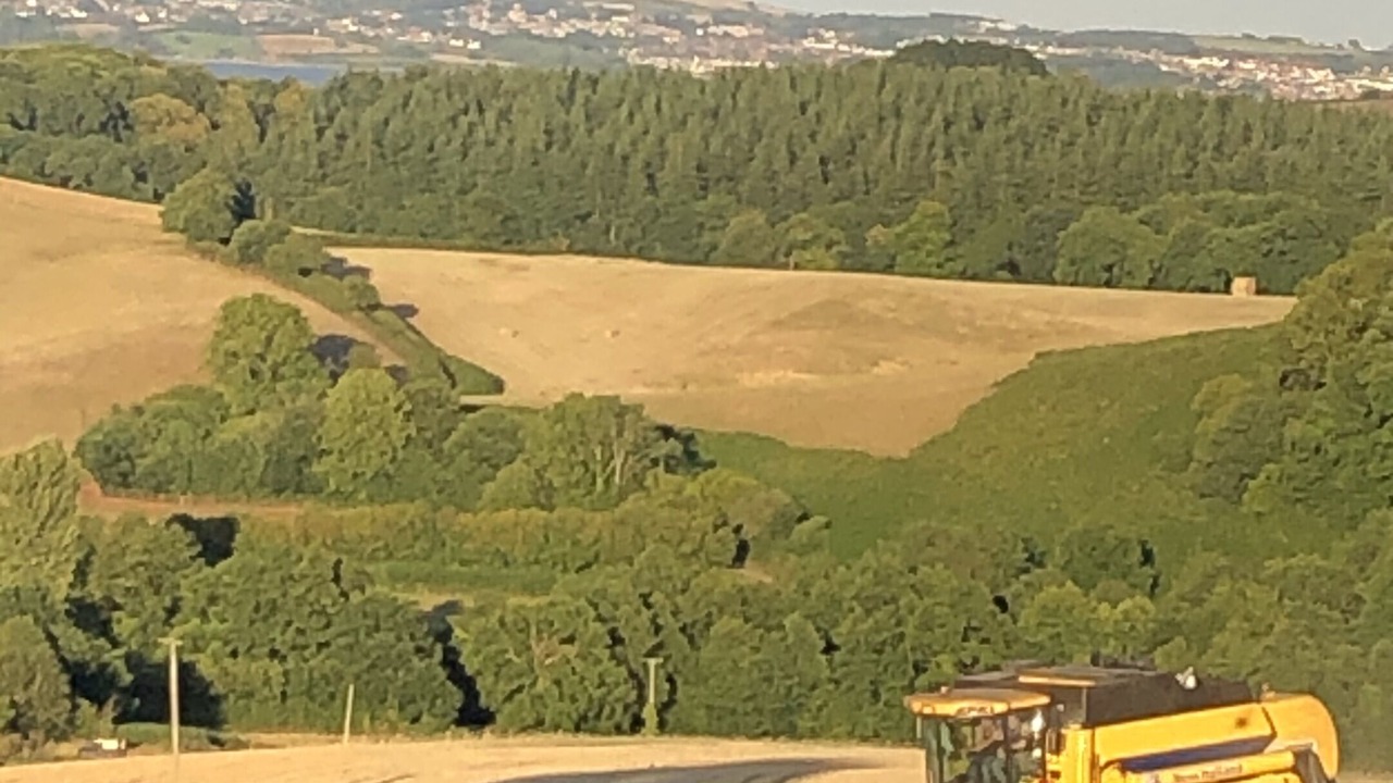 Photo of Outdoor in Kenn