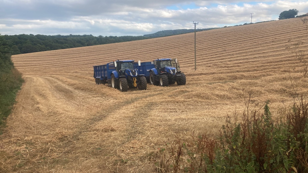 Photo of Outdoor in Kenn