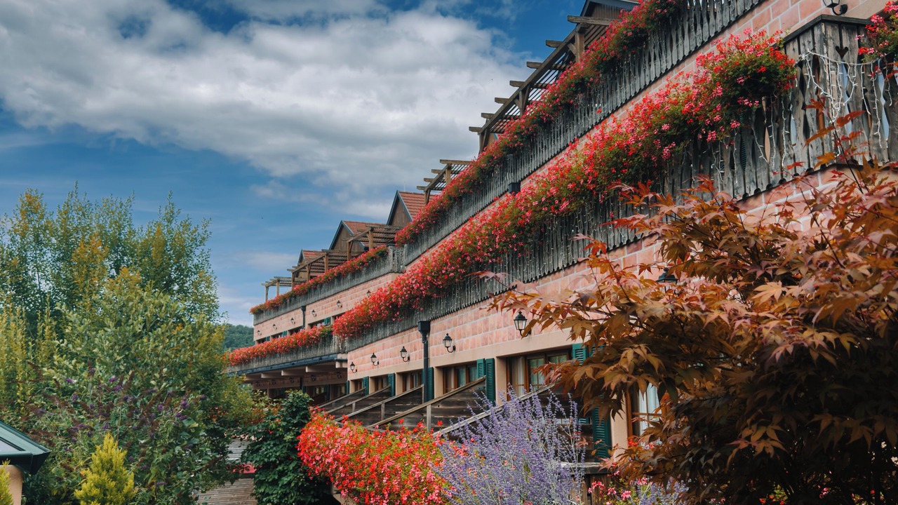 Photo of Outdoor in Soultz-Haut-Rhin
