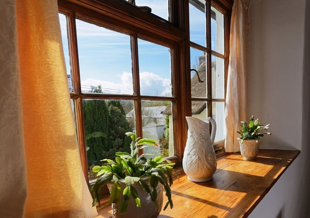 Photo of Others in Dolton