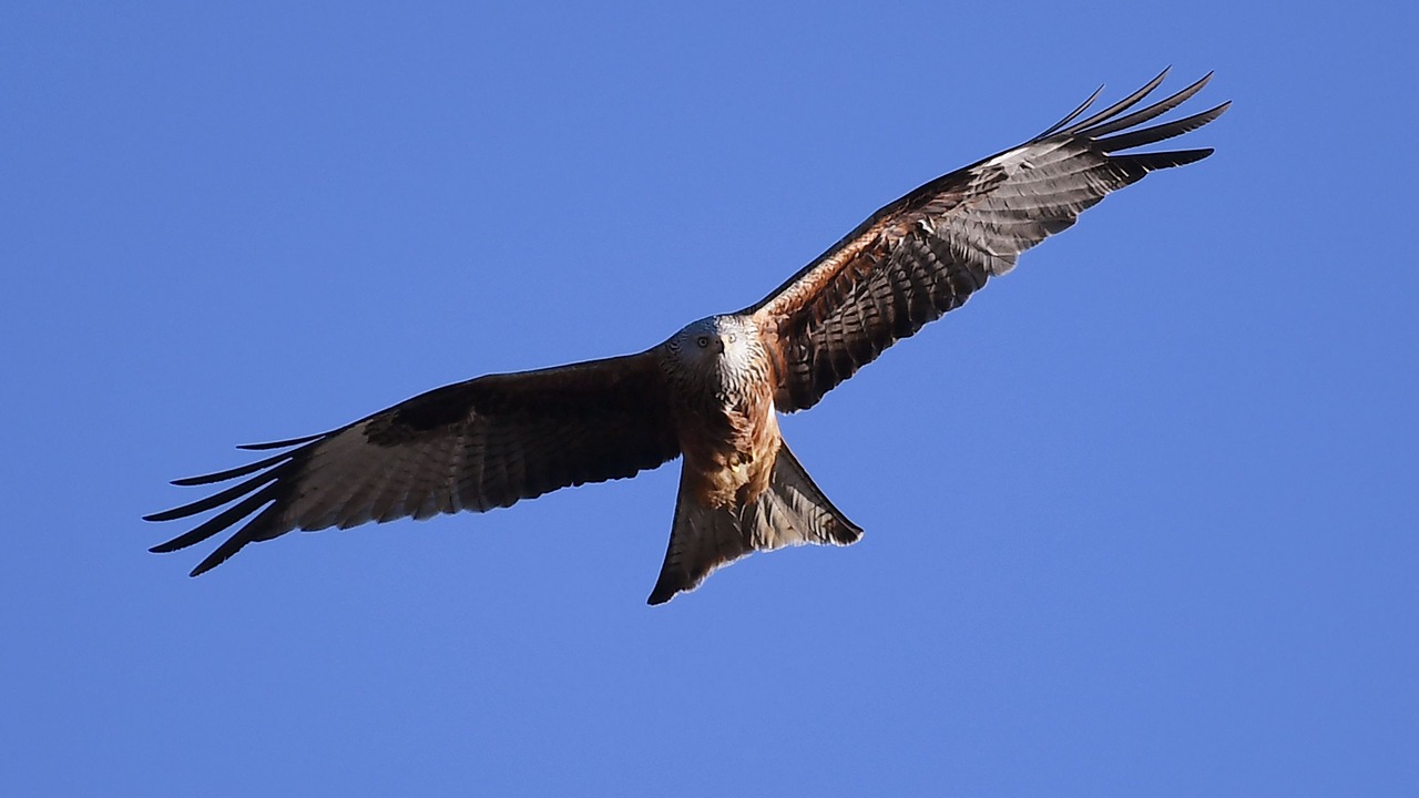 Photo of Outdoor in Laxton