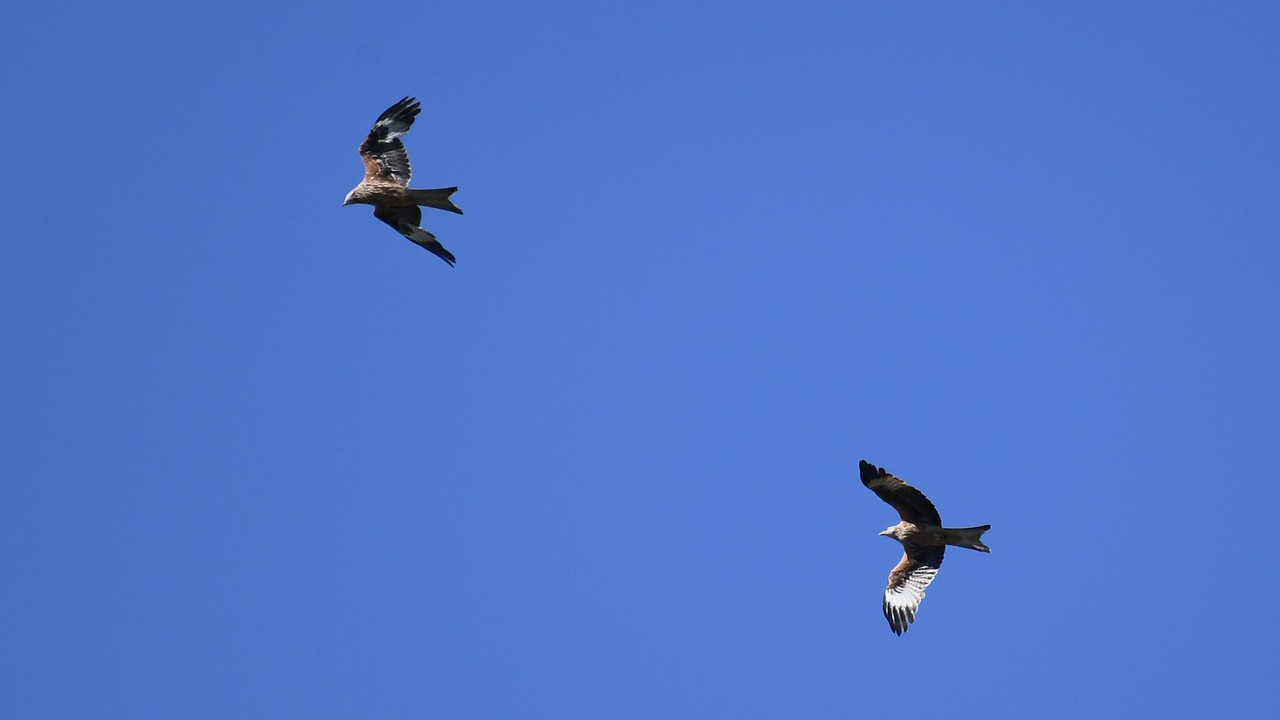 Photo of Outdoor in Laxton