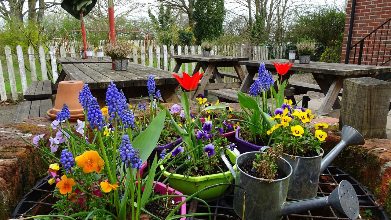 Photo of Patio Balcony in Penwood