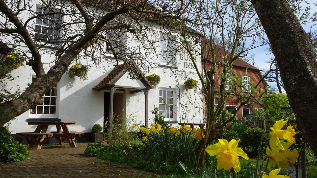 Photo of Outdoor in Penwood