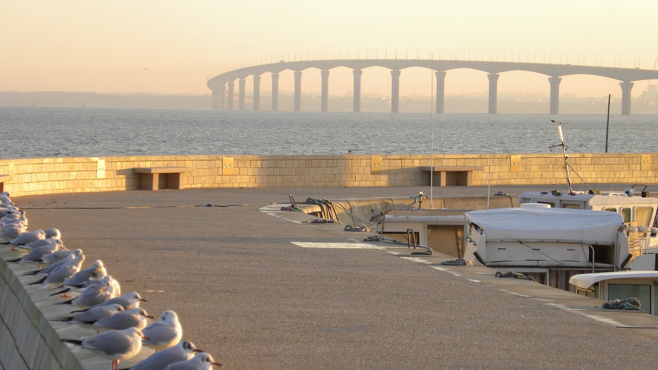 Photo of Outdoor in Rivedoux-Plage