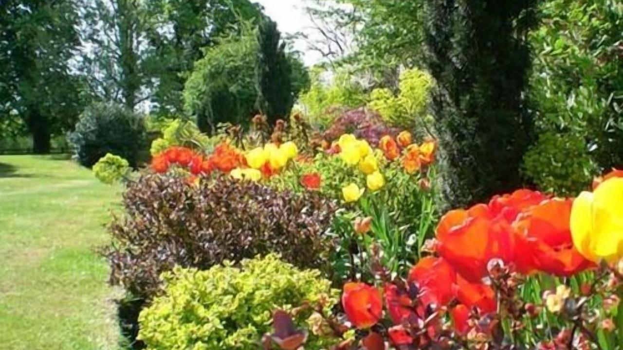 Photo of Outdoor in Blaydon on Tyne