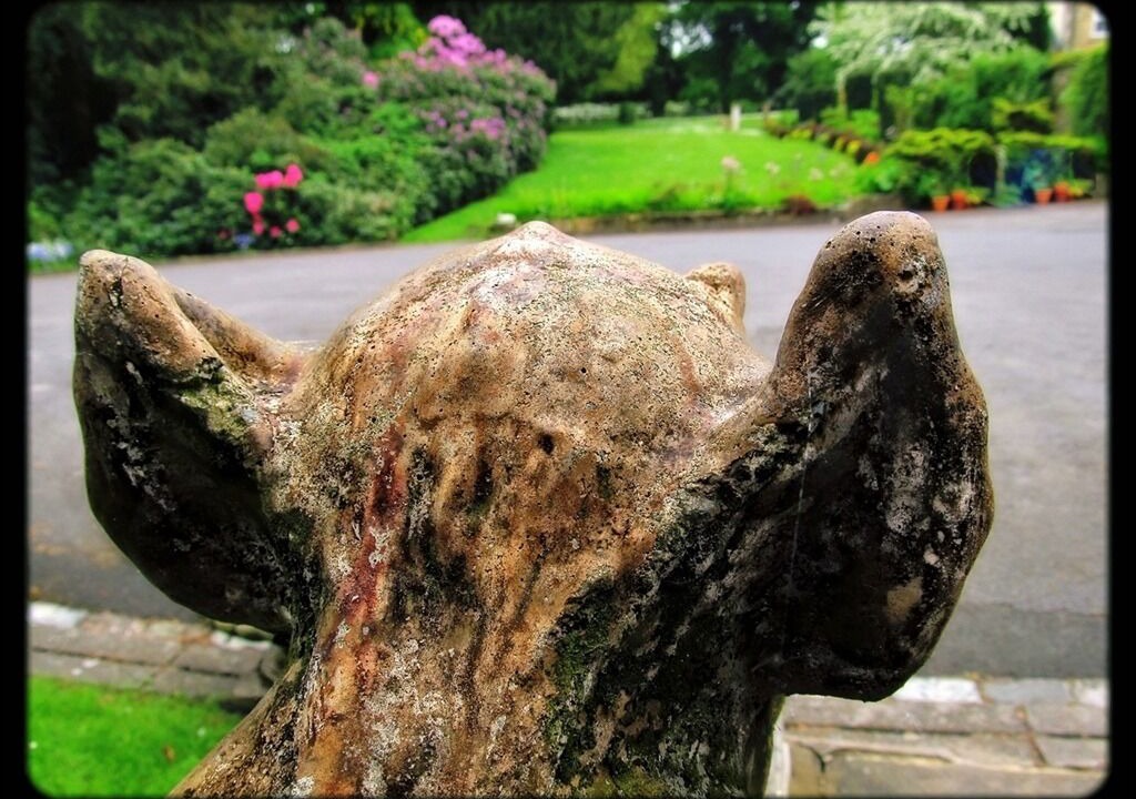 Photo of Outdoor in Blaydon on Tyne