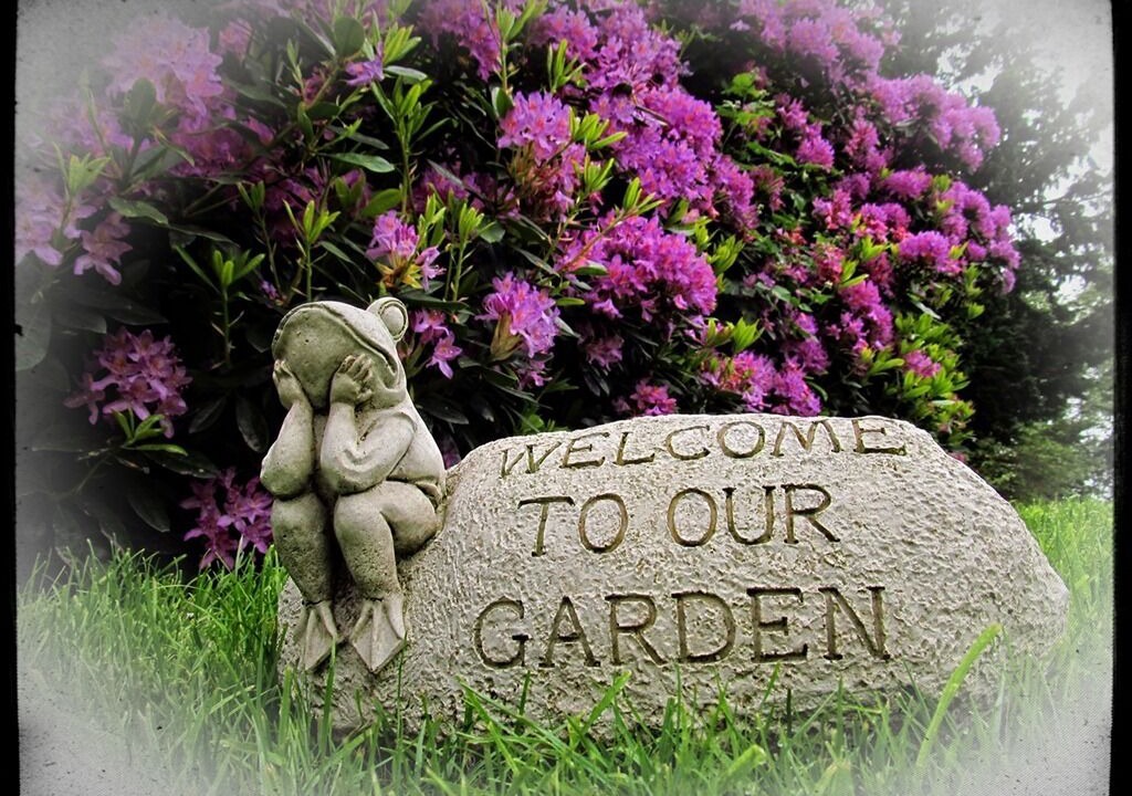 Photo of Outdoor in Blaydon on Tyne