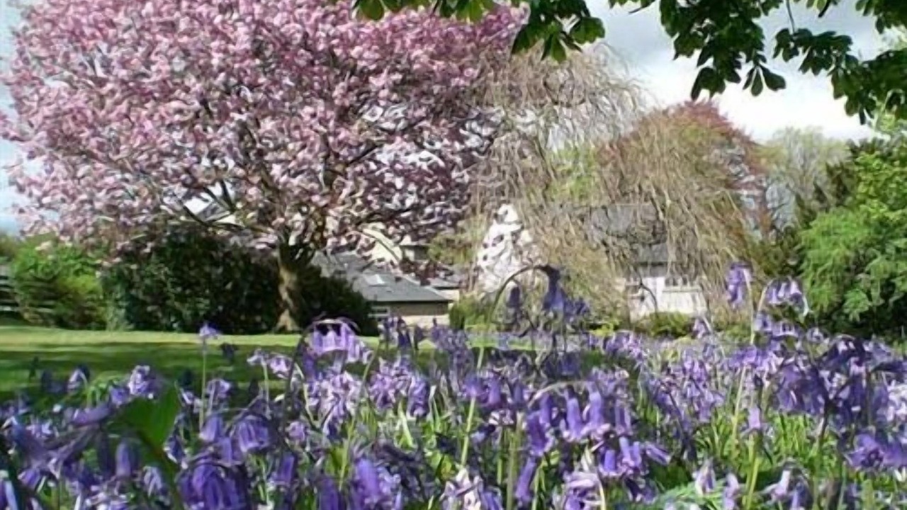 Photo of Outdoor in Blaydon on Tyne