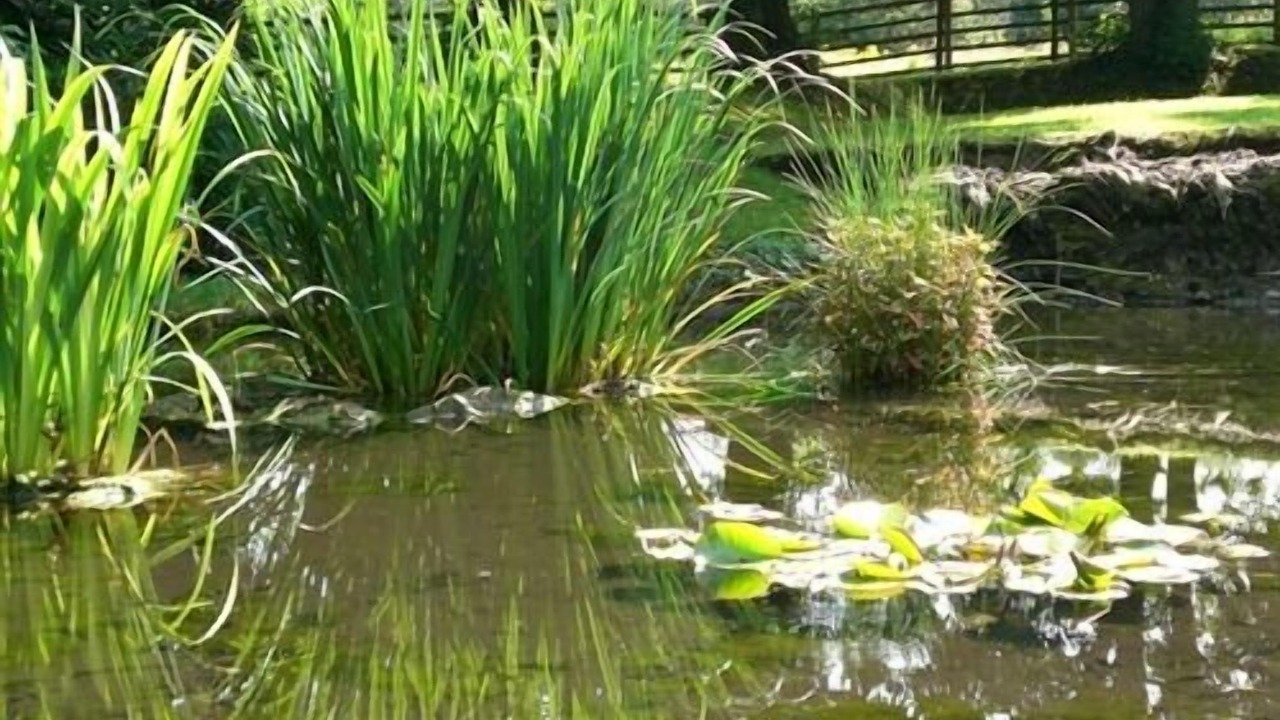 Photo of Outdoor in Blaydon on Tyne