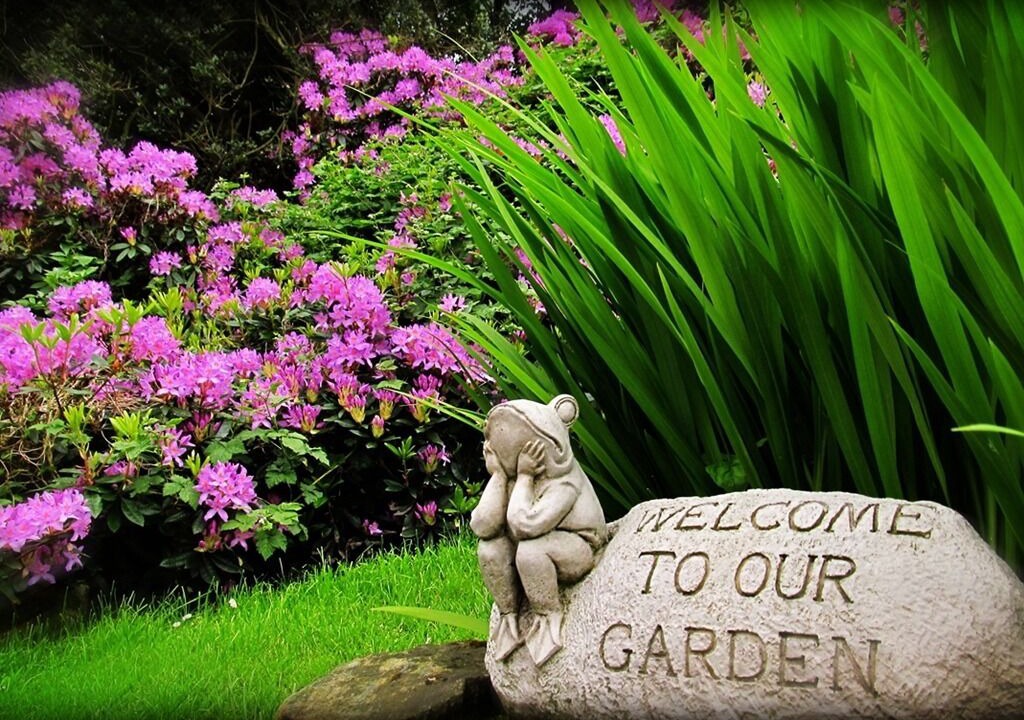 Photo of Outdoor in Blaydon on Tyne