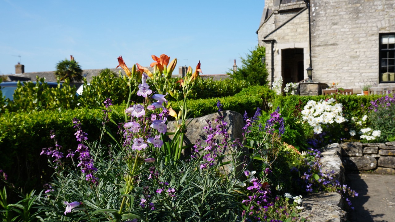 Photo of Outdoor in Corfe Castle Village
