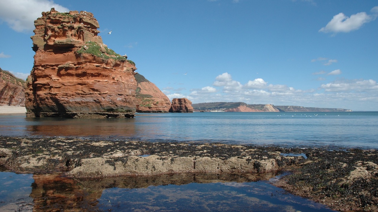 Photo of Others in Corfe Castle Village