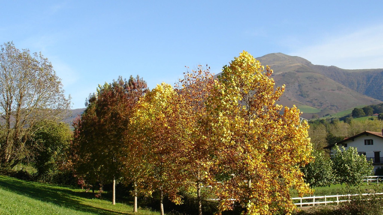 Photo of Outdoor in Arizkun