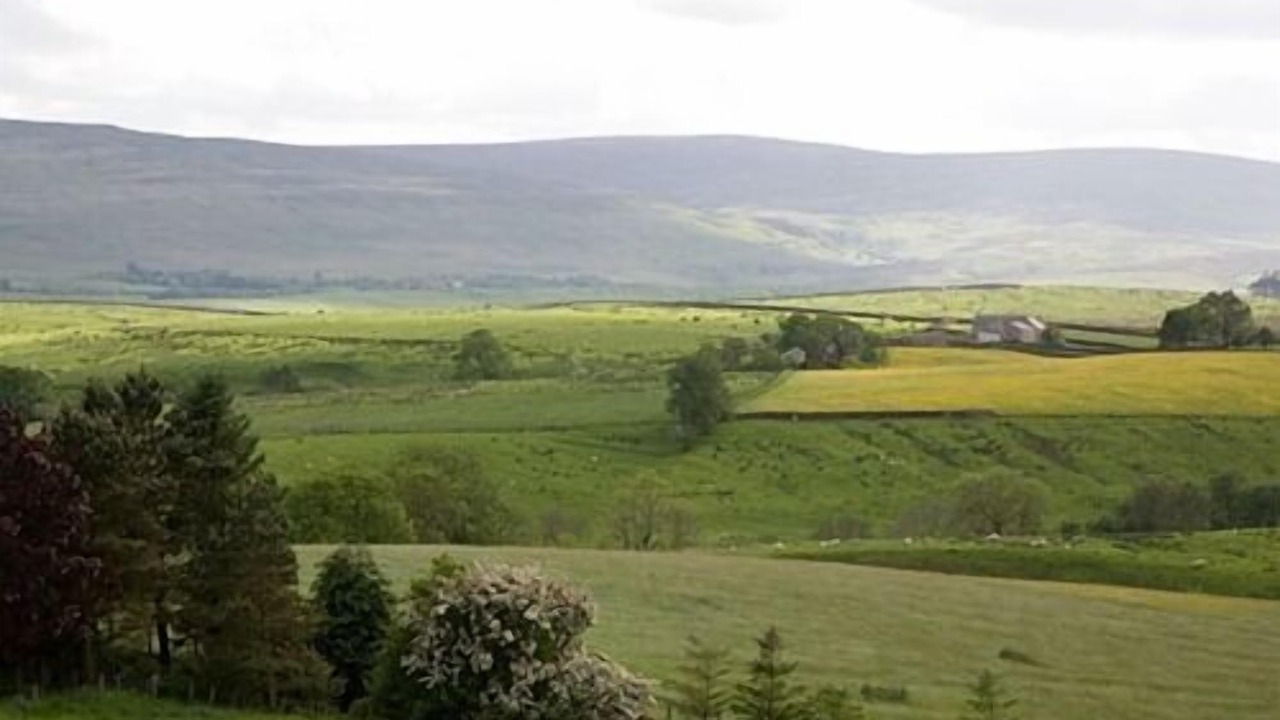 Photo of Others in Haltwhistle