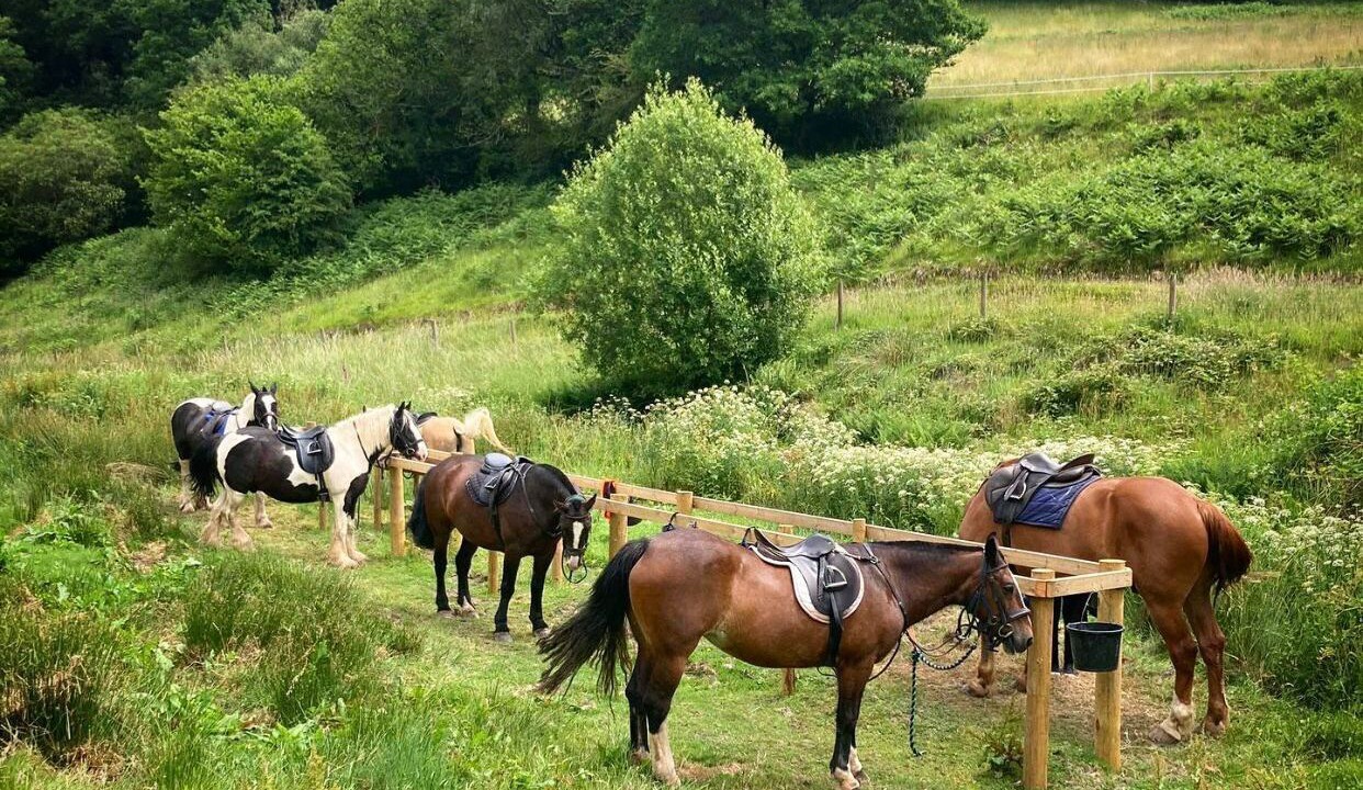 Photo of Outdoor in Tarr Steps