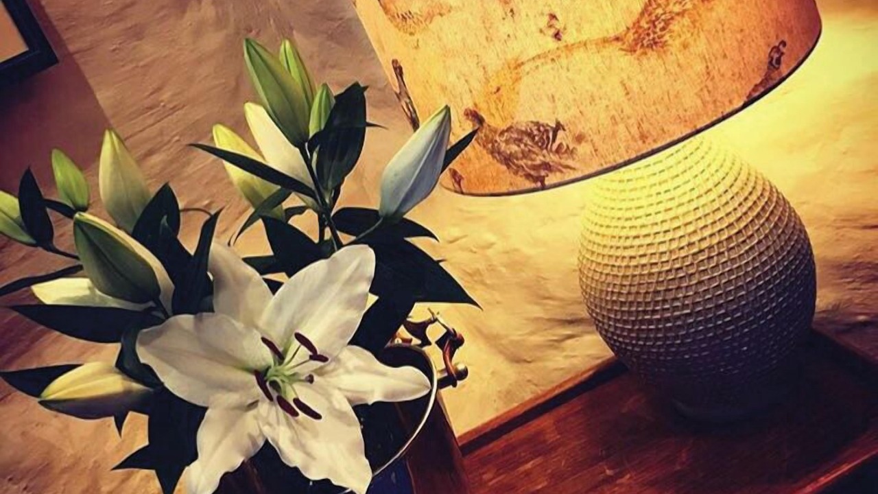 Photo of Others in Tarr Steps