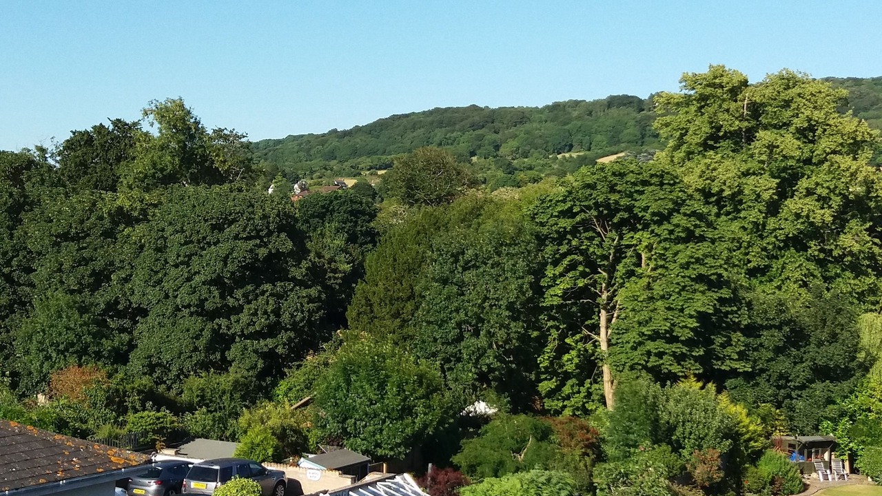 Photo of Outdoor in Sidmouth