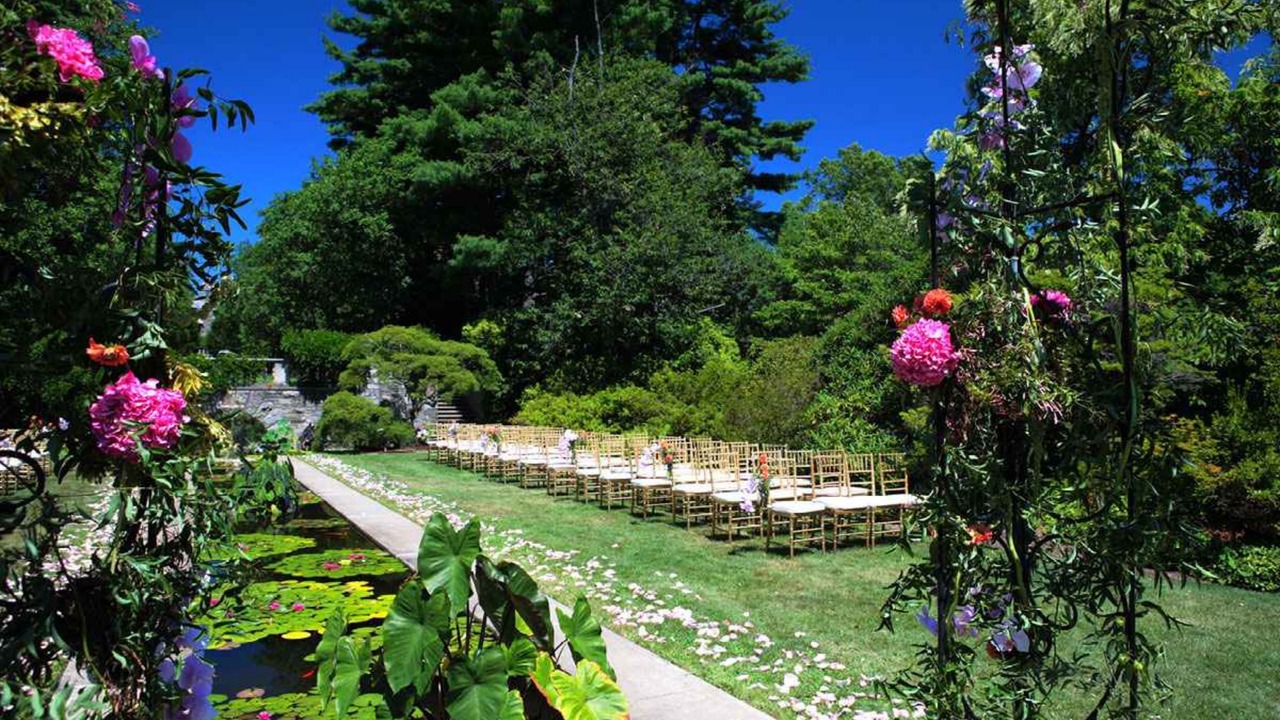 Photo of Others in Ringwood