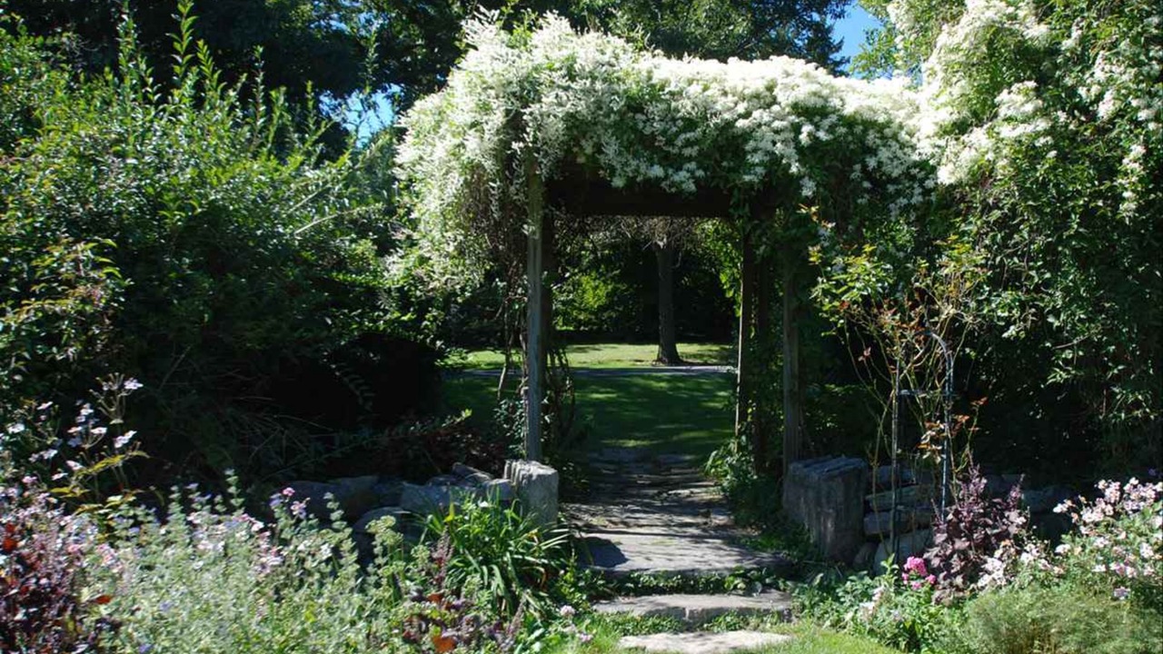 Photo of Outdoor in Ringwood