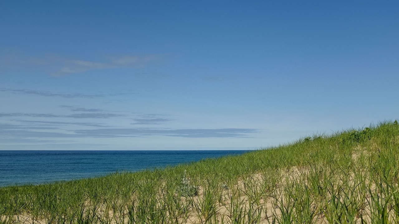 Photo of Others in Provincetown