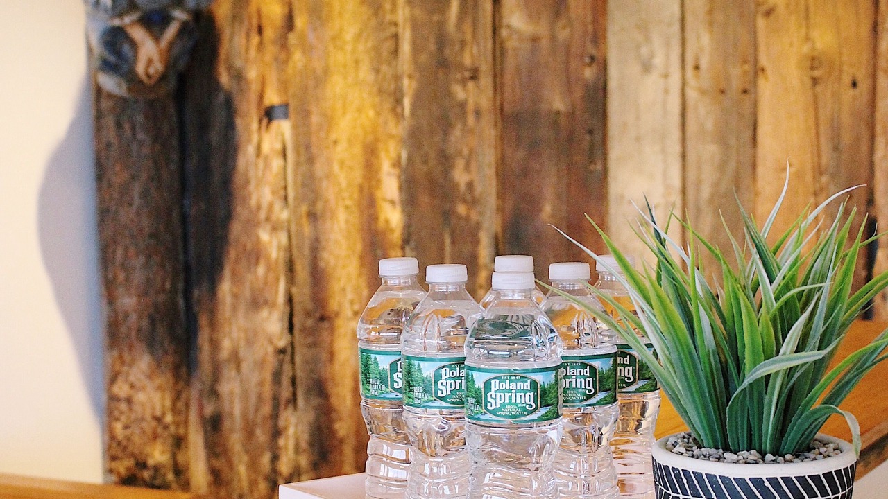 Photo of Others in Provincetown