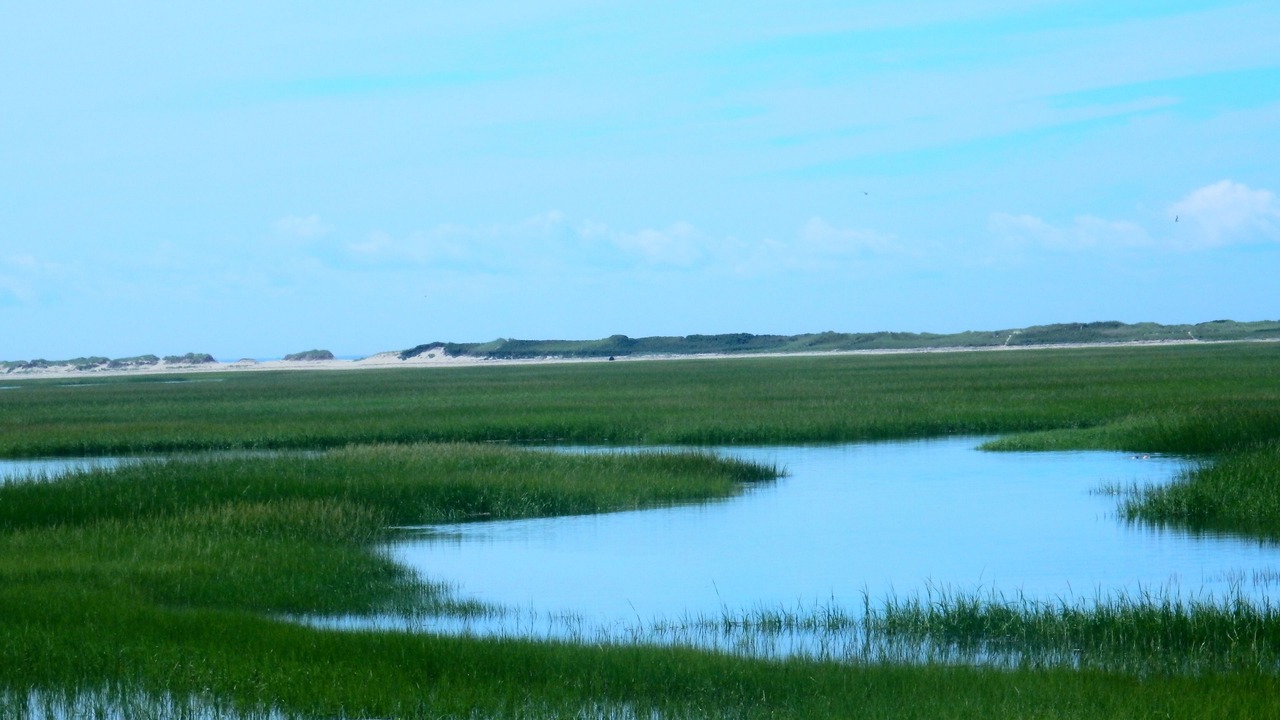 Photo of Others in Provincetown