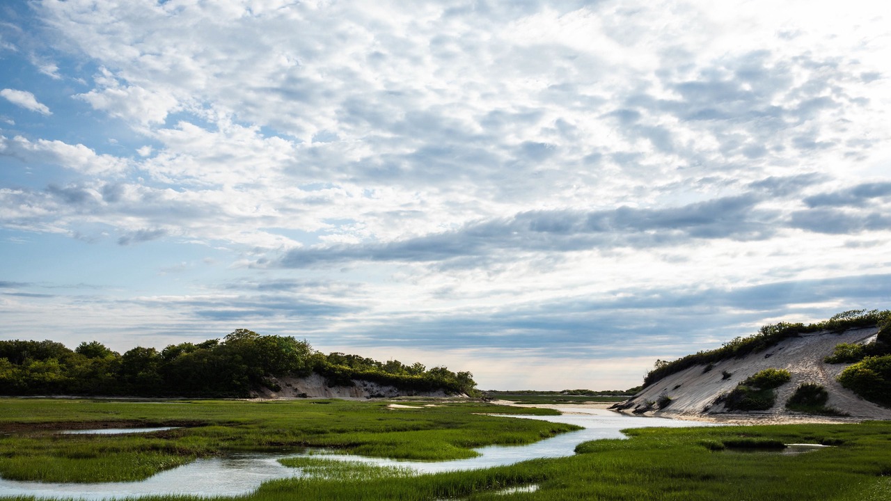 Photo of Outdoor in Provincetown