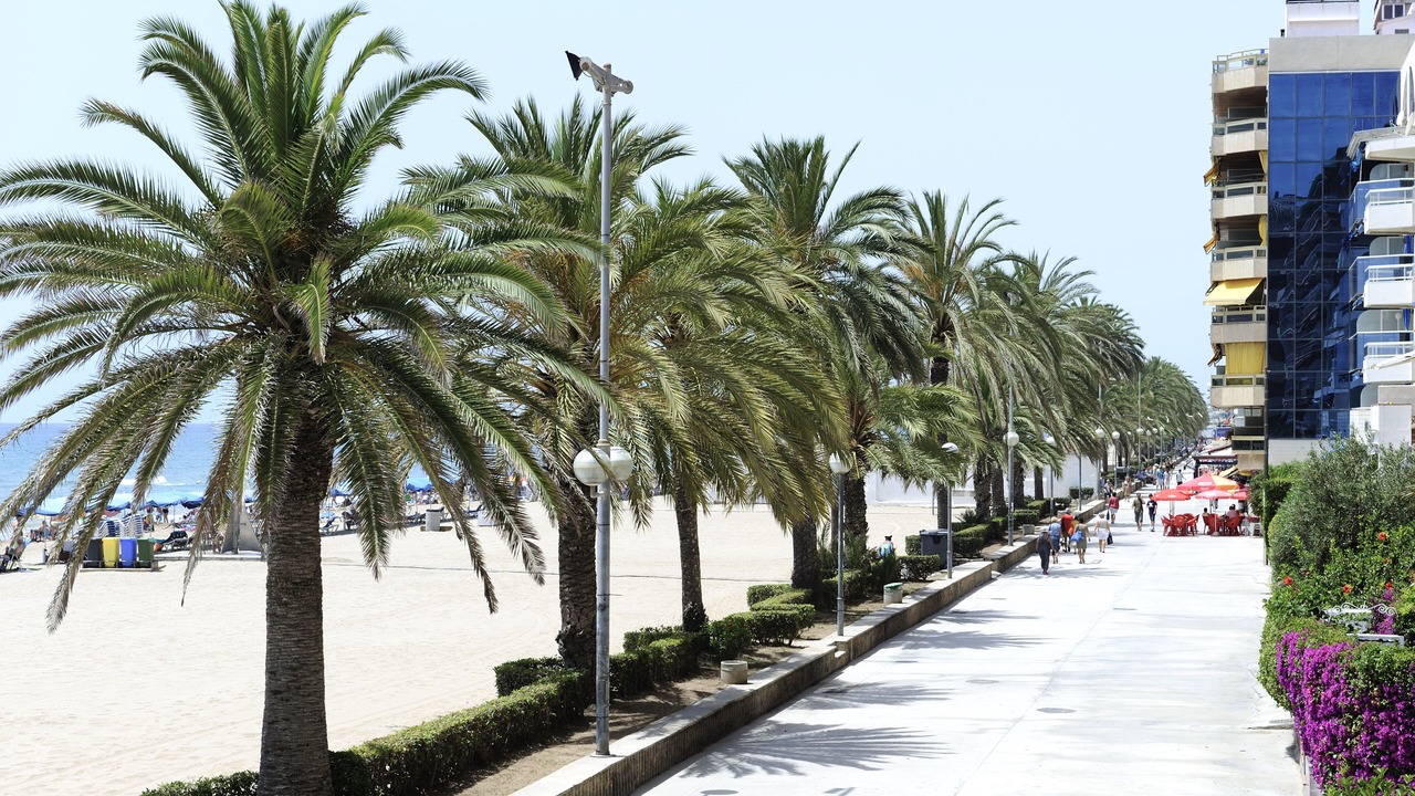 Photo of Others in Calafell