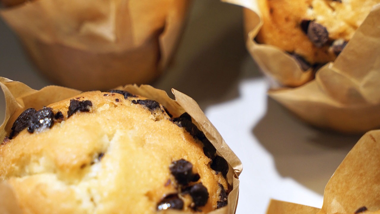 Photo of Others in Brotteaux