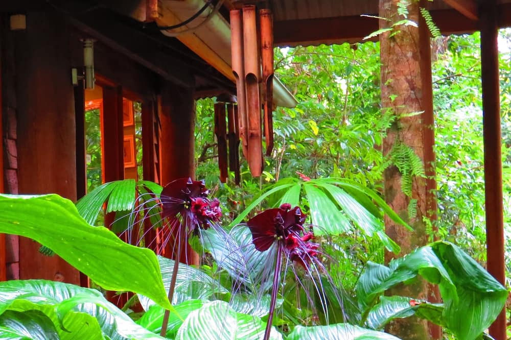 Photo of Outdoor in Cow Bay