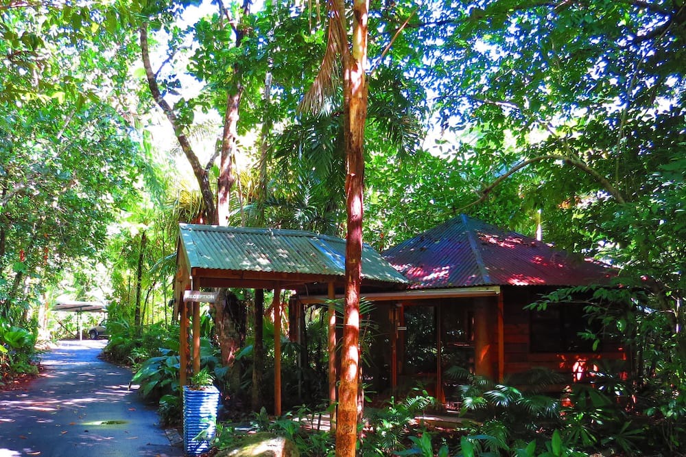 Photo of Others in Cow Bay