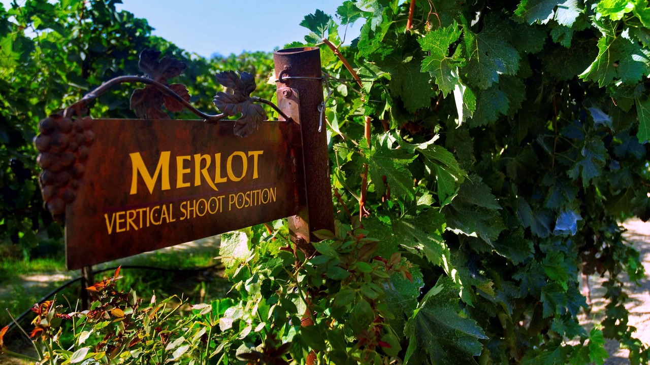 Photo of Outdoor in Lodi