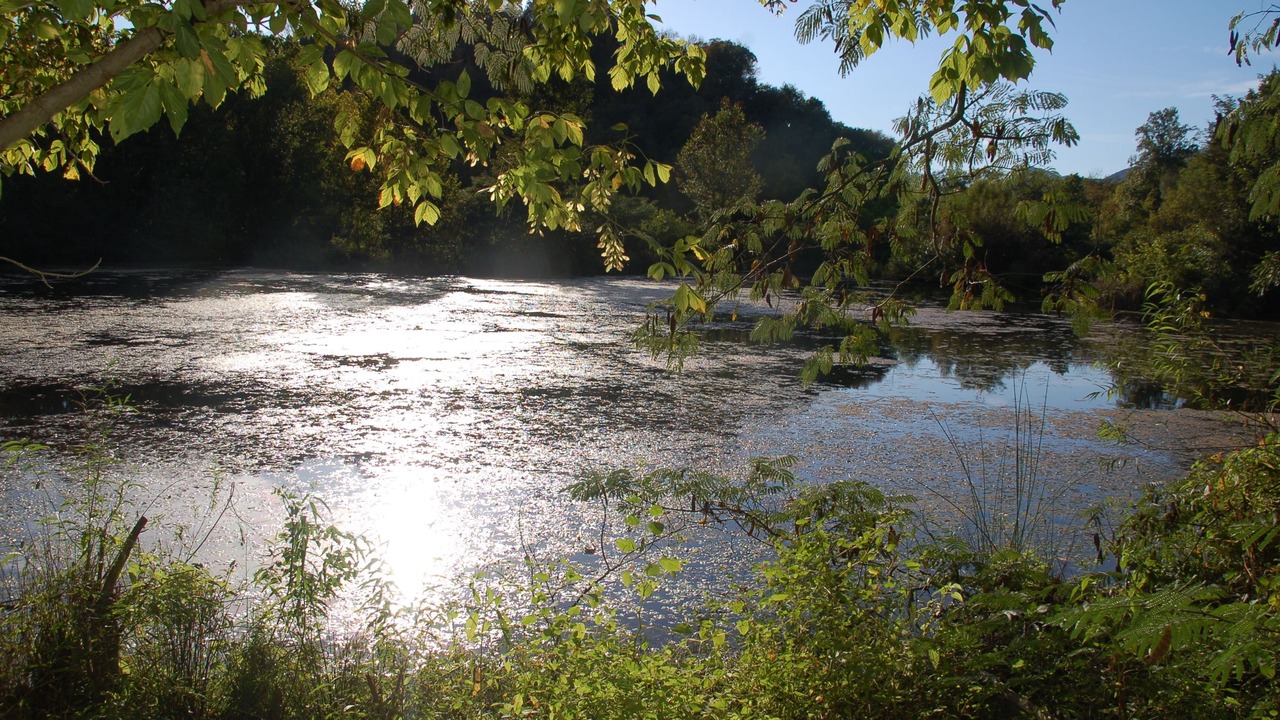 Photo of Outdoor in Cosby