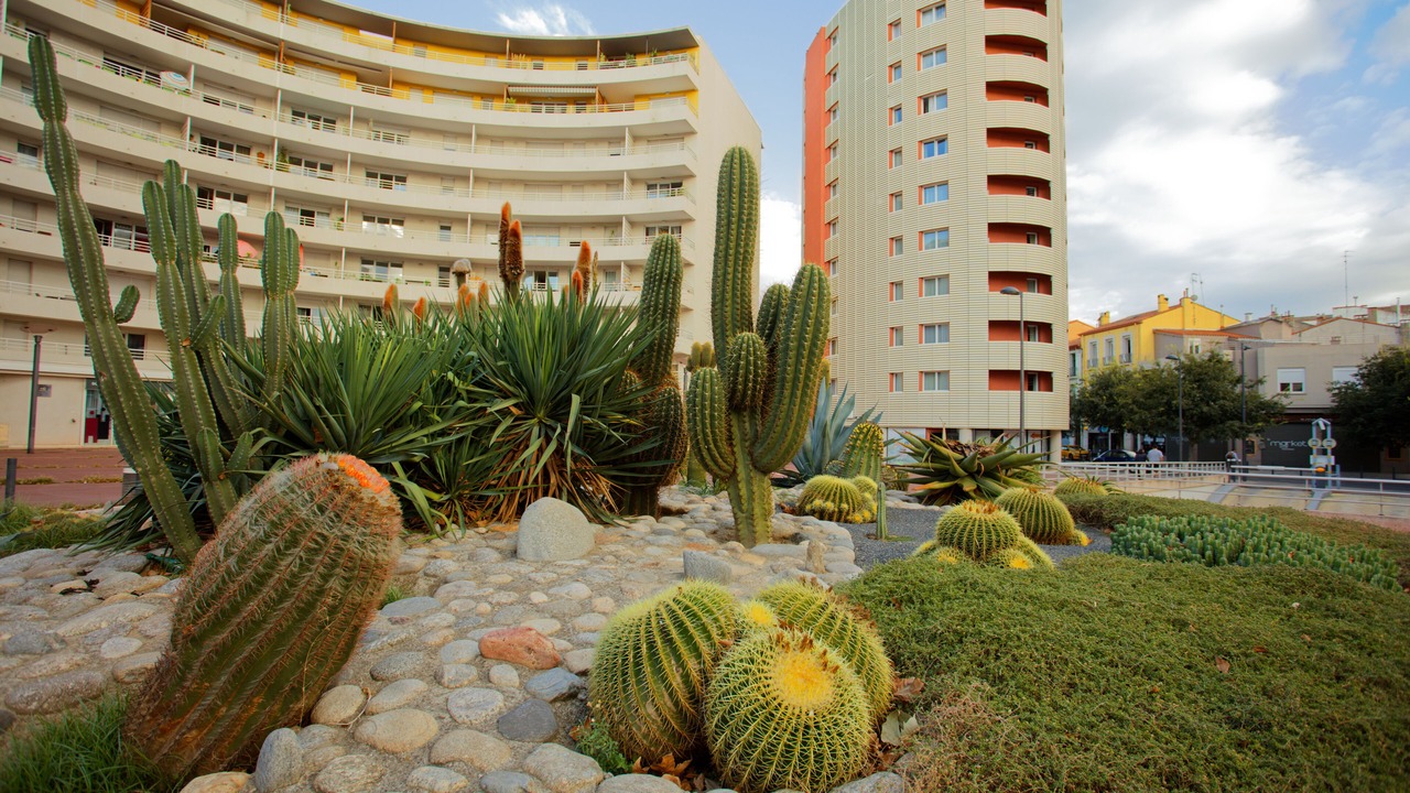 Photo of Outdoor in Clemenceau