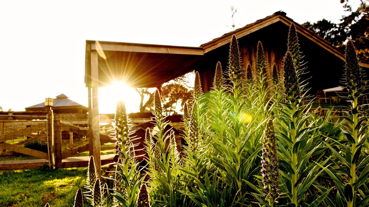 Photo of Outdoor in Mendocino