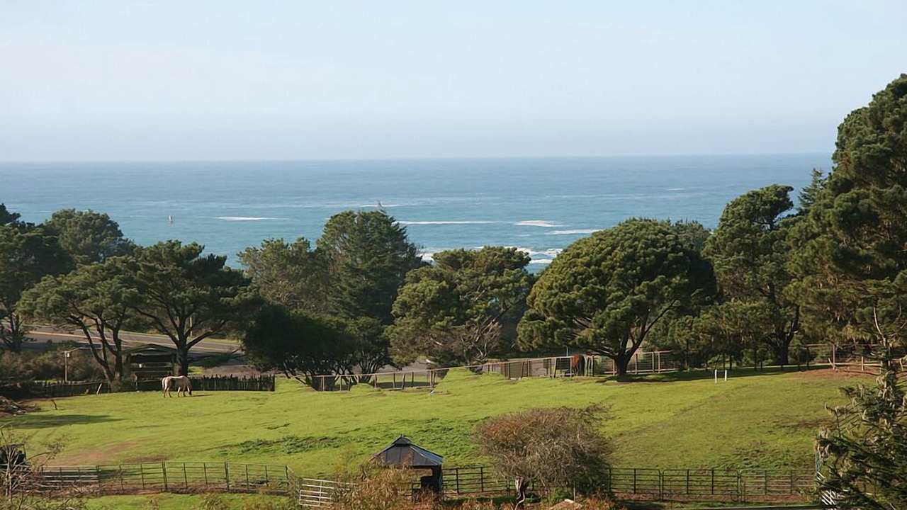 Photo of Others in Mendocino