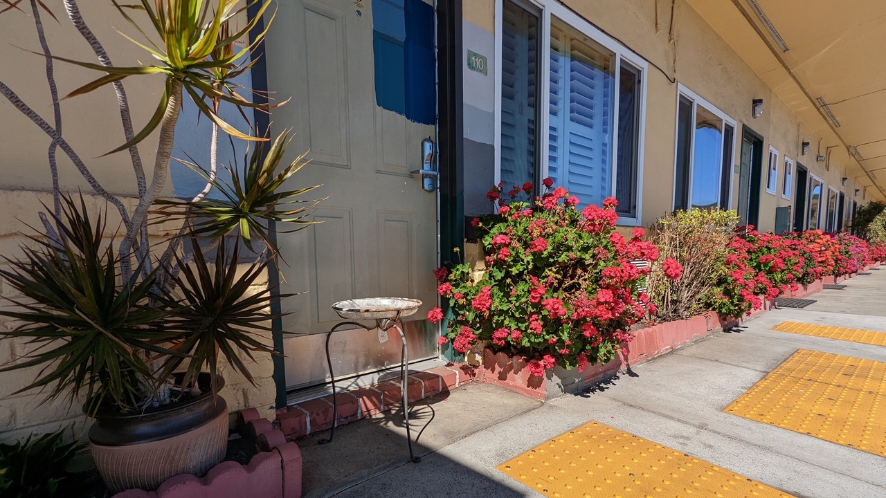 Photo of Outdoor in South San Francisco