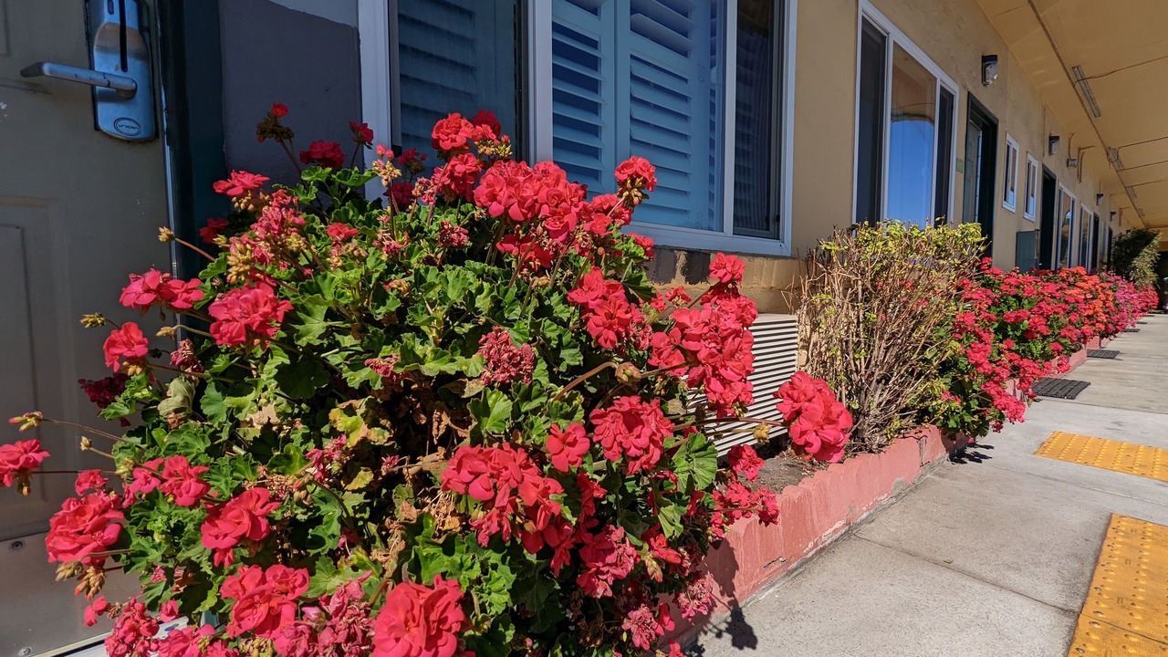 Photo of Outdoor in South San Francisco