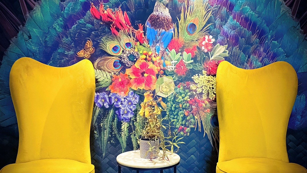 Photo of Others in Fenton Street