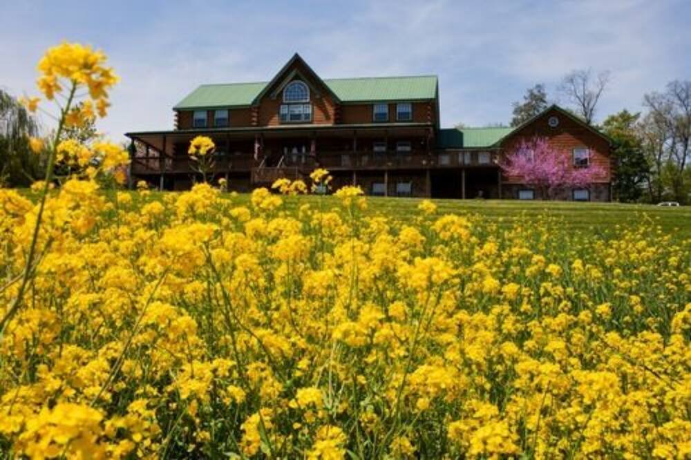 Photo of Outdoor in Ono
