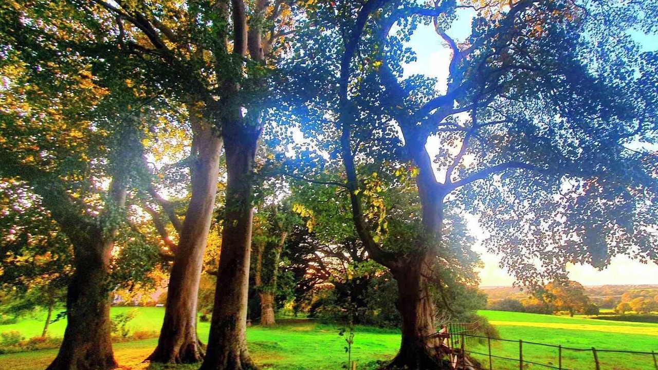 Photo of Outdoor in Bontnewydd